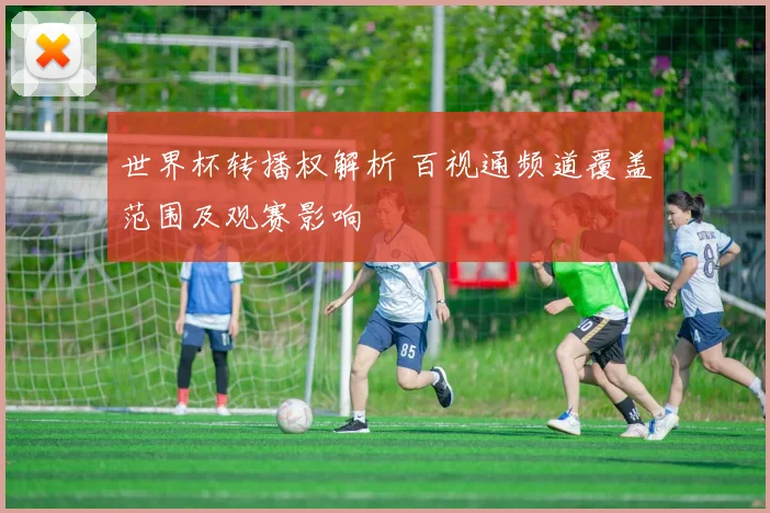 世界杯转播权解析 百视通频道覆盖范围及观赛影响