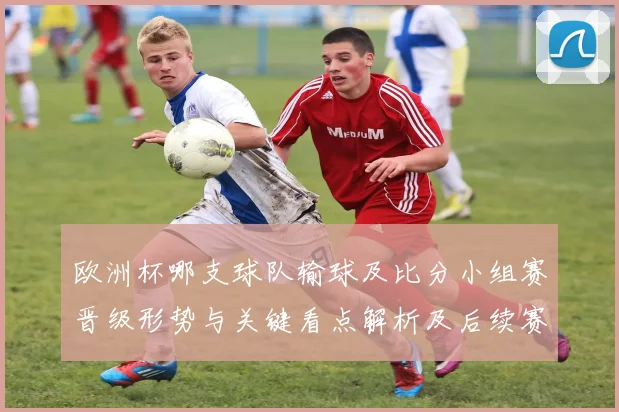欧洲杯哪支球队输球及比分小组赛晋级形势与关键看点解析及后续赛程影响