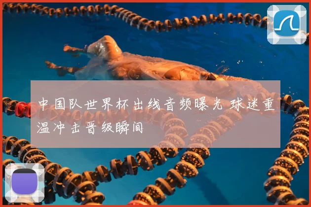 中国队世界杯出线音频曝光 球迷重温冲击晋级瞬间